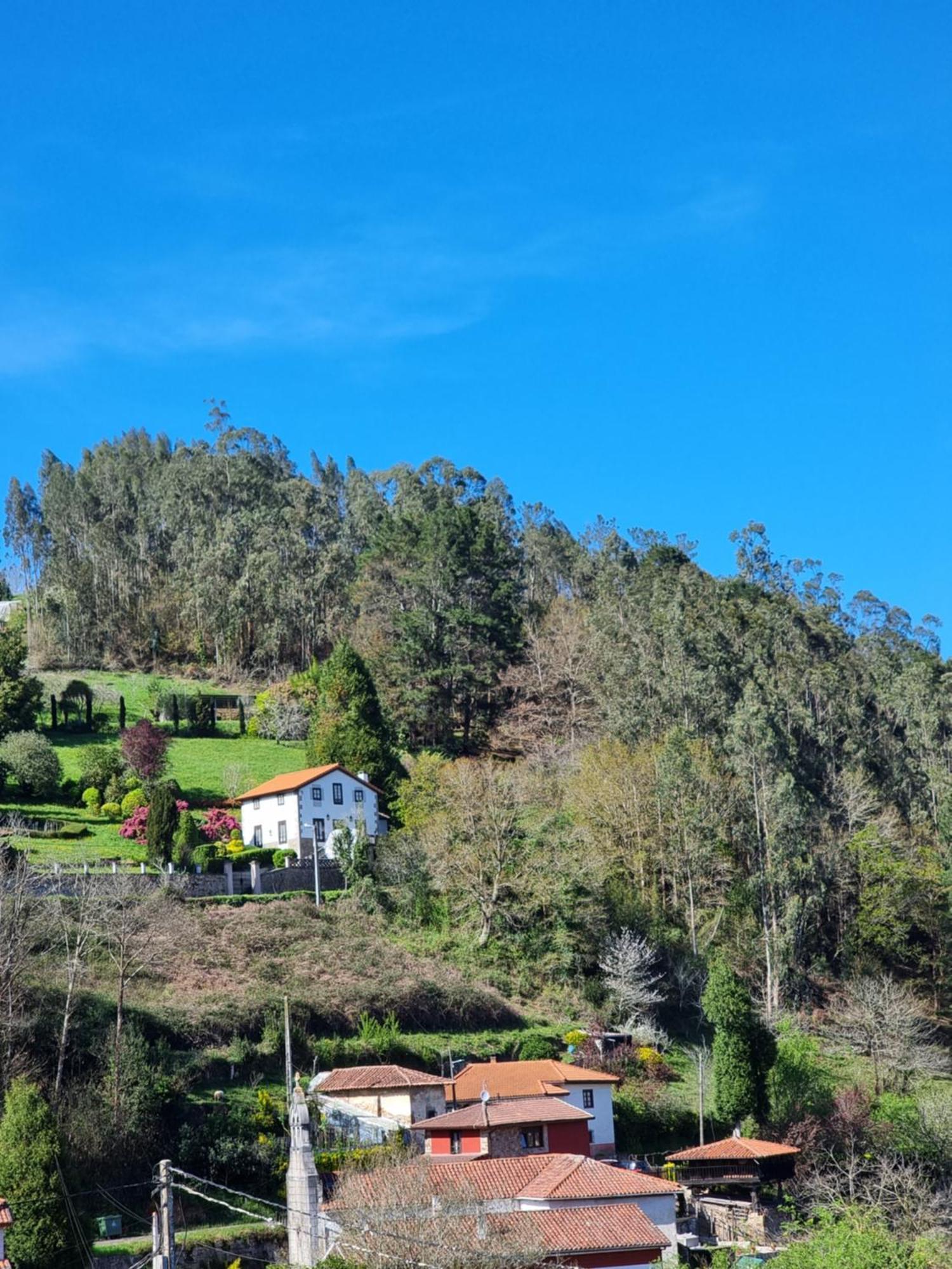 Apartamentos Rurales Corias Luaran gambar